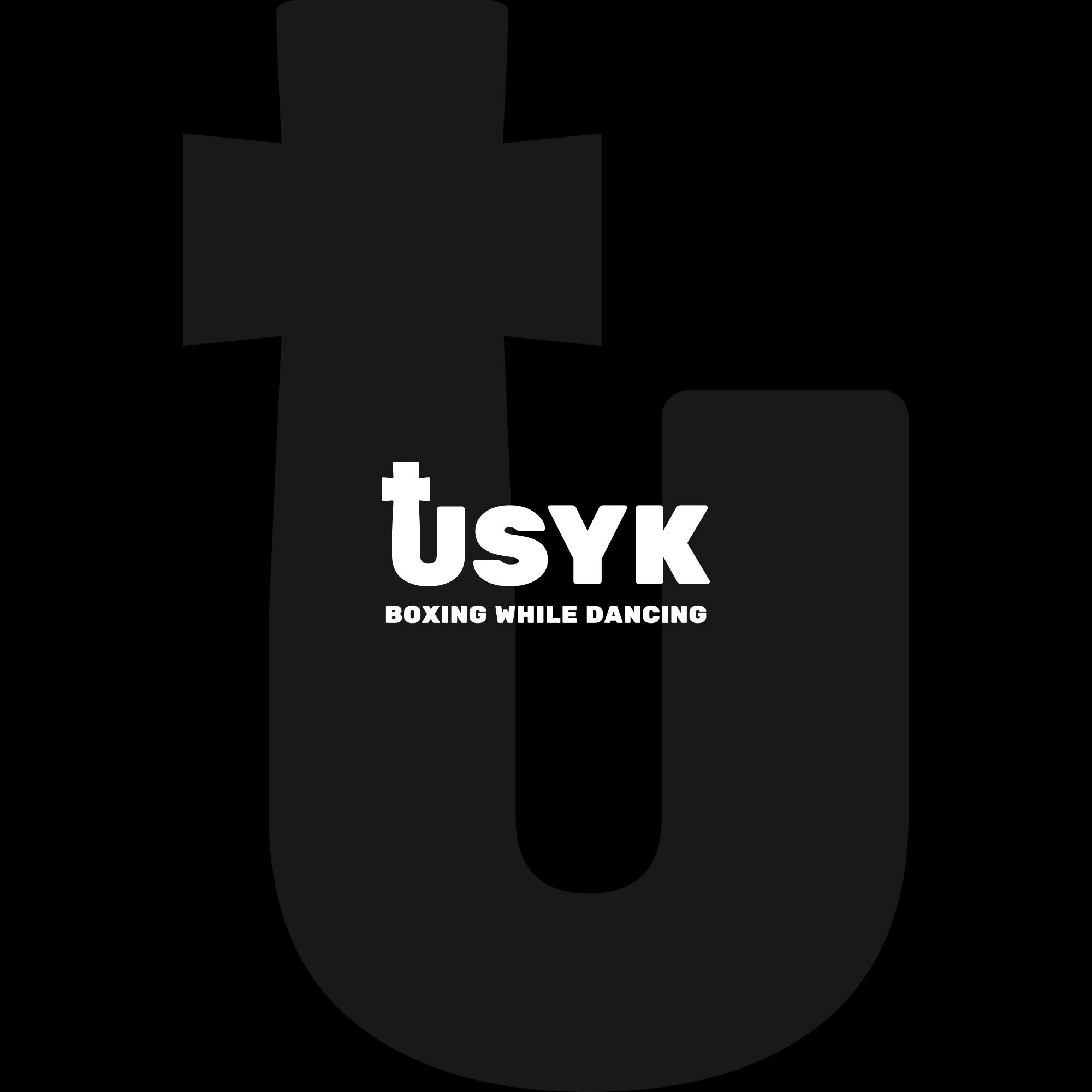 Logo & visual identity for Usyk in Toronto and GTA