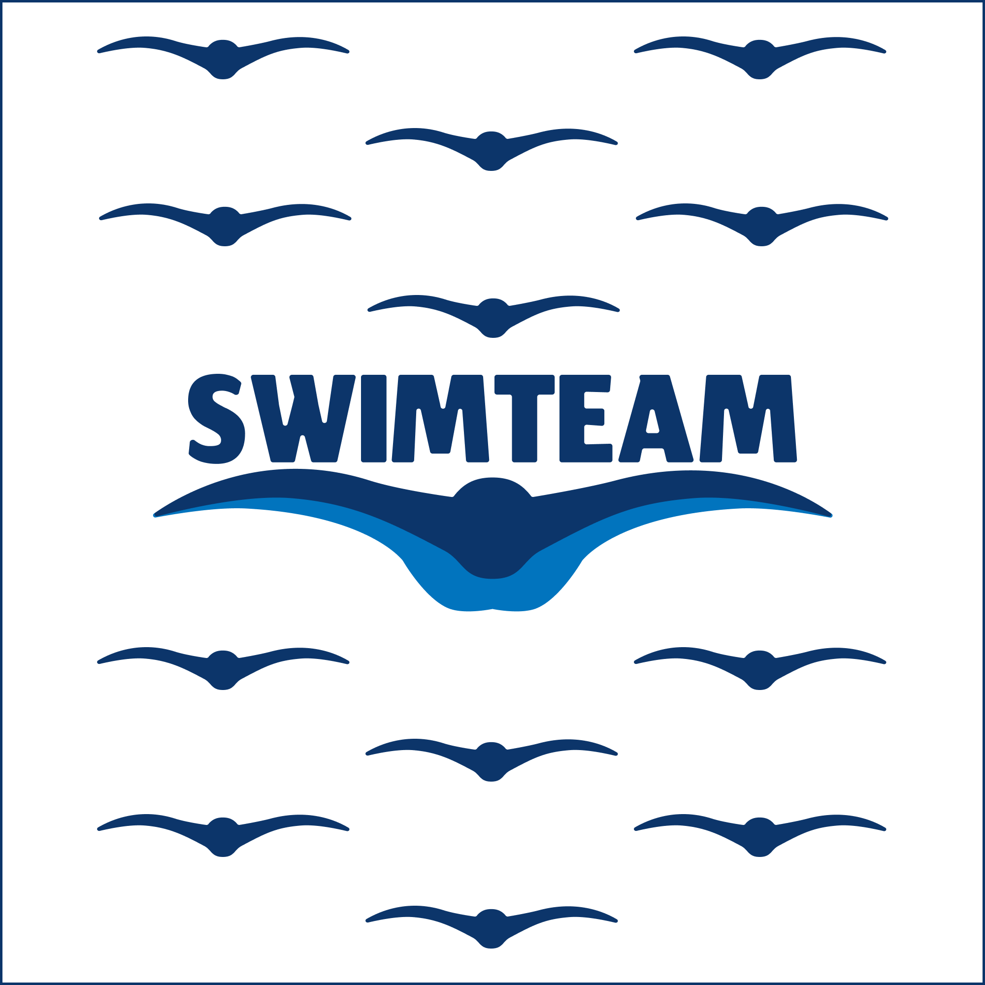 Logo & visual identity for Swim Team in Toronto and GTA